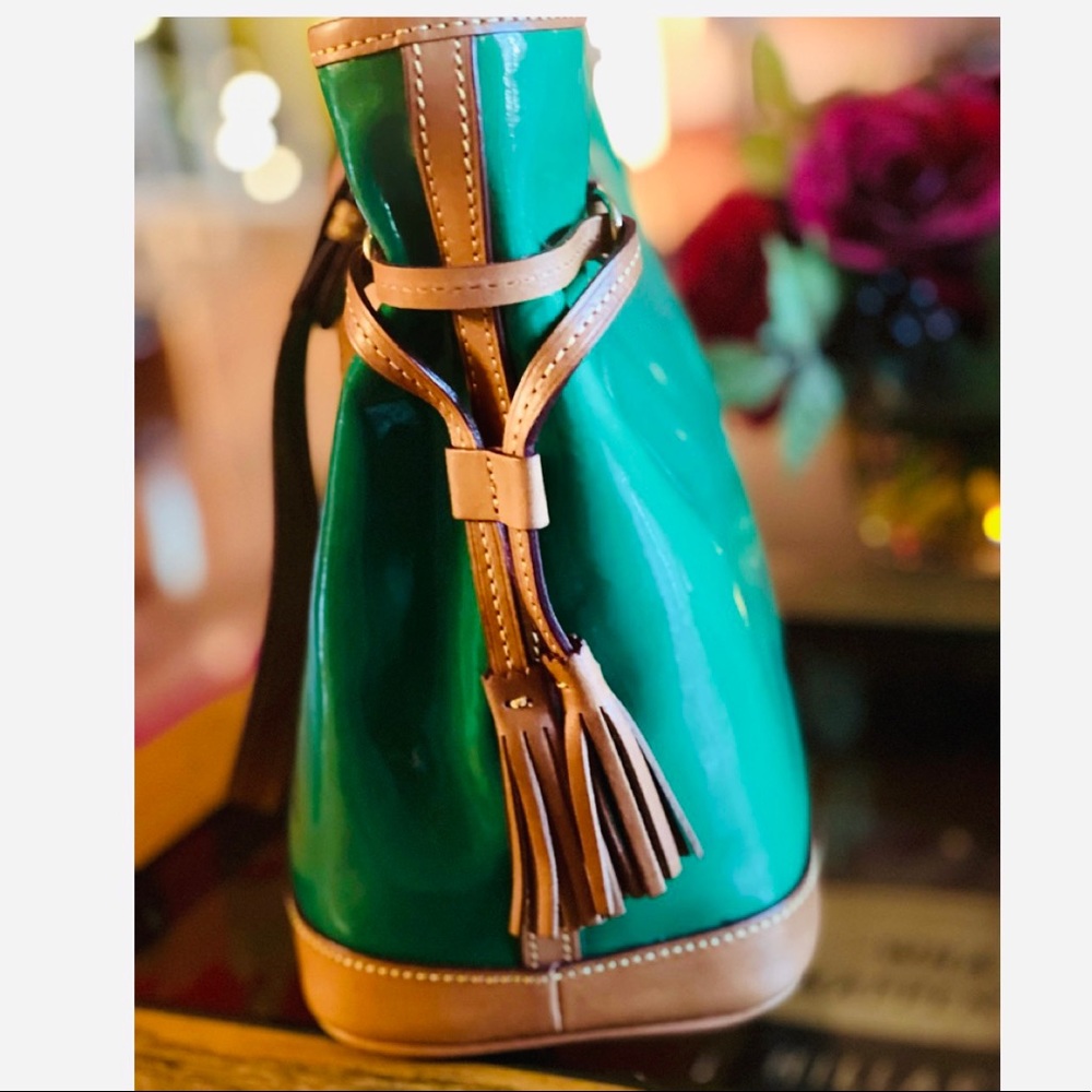Dooney & Bourke Handbag 💚 - Picture 7 of 16